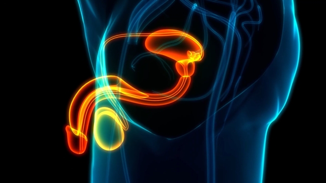 What’s a Poop Transplant and Can it Help Prostate Cancer?