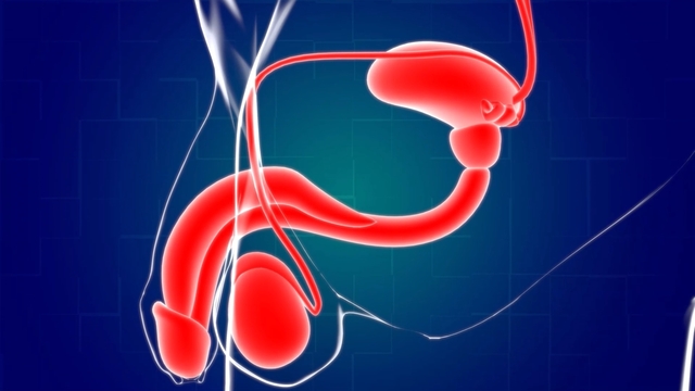 Not All Prostate Cancers Are the Same: A Guide to Cancer Cell Types and Treatments