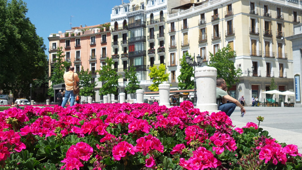 You Don&rsquo;t Need to Move Abroad to Enjoy &lsquo;The Good Life&##x27;