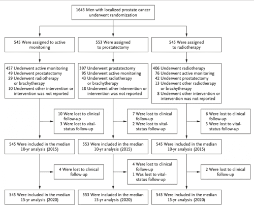 The Study Every Wife Needs to See Before Her Husband Chooses Prostate Cancer Treatment