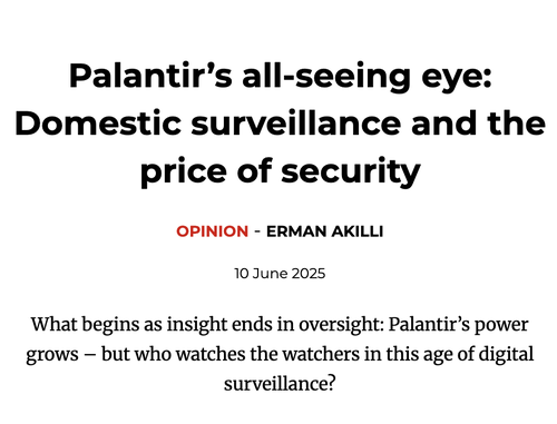 The Life of Average Joe&##x3a; America in 2030 Under the Watchful Eye of Palantir