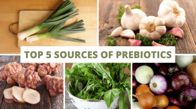 The Truth About Antibiotics, Probiotics, and Prebiotics You Must Know
