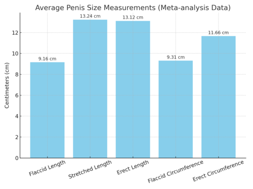 Why the Penis Shrinks With Age and What Science Says You Can Do About It