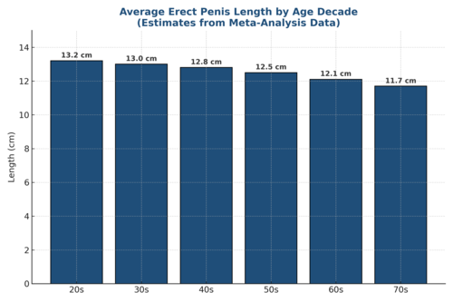 How Much Penis Shrinkage Happens After Prostate Surgery, and What Men Can Do About It