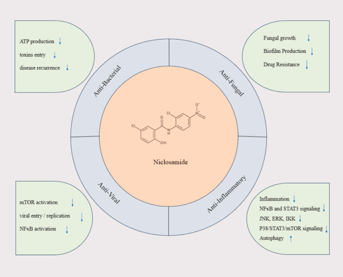 What Is Bioavailability&##x3f; The Hidden Reason Many &ldquo;Promising&rdquo; Cancer Drugs Fail
