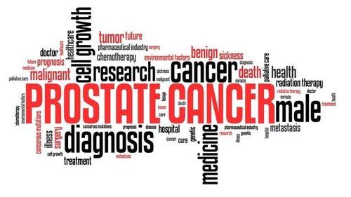 The Prostate Explained&##x3a; Unlocking the 10 Secrets of a Small But Mighty Gland